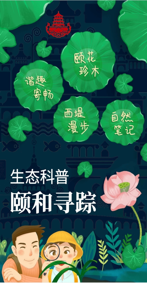 主视觉.jpg